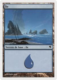 Island (French) - "Ile" (H35) - Magic Encyclopedia 2005 (Salvat/Hachette) - Magic: The Gathering card