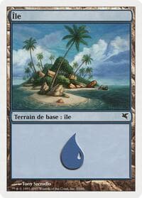 Island (French) - "Ile" (E33) - Magic Encyclopedia 2005 (Salvat/Hachette) - Magic: The Gathering card