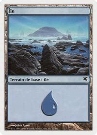 Island (French) - "Ile" (E21) - Magic Encyclopedia 2005 (Salvat/Hachette) - Magic: The Gathering card