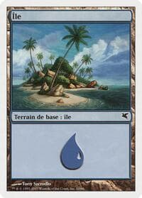 Island (French) - "Ile" (E10) - Magic Encyclopedia 2005 (Salvat/Hachette) - Magic: The Gathering card