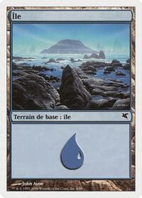 Island (French) - "Ile" (H8) - Magic Encyclopedia 2005 (Salvat/Hachette) - Magic: The Gathering card