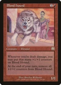 Blood Hound - Mercadian Masques - Magic: The Gathering card