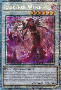 Rage Rose Witch (Starlight Rare) - Doom of Dimensions - YuGiOh card