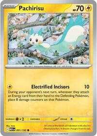 Pachirisu - ME01: Mega Evolution - Pokemon card