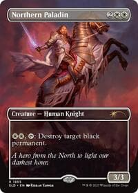 Northern Paladin - Secret Lair Drop Series - Magic: The Gathering card