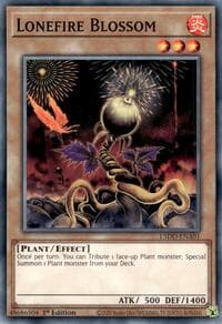 Lonefire Blossom - Legendary 5D's Decks - YuGiOh card