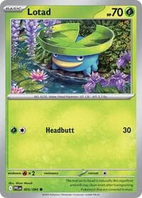 Lotad - ME02: Phantasmal Flames - Pokemon card