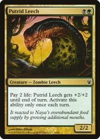 Putrid Leech - Duel Decks: Izzet vs. Golgari - Magic: The Gathering card