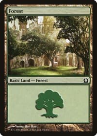Forest (271) - Return to Ravnica - Magic: The Gathering card