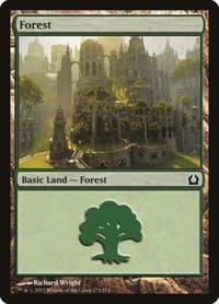 Forest (273) - Return to Ravnica - Magic: The Gathering card