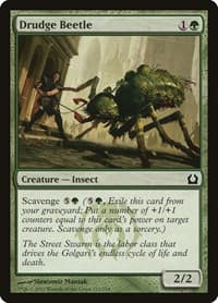 Drudge Beetle - Return to Ravnica - Magic: The Gathering card