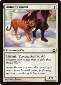 Trained Caracal - Return to Ravnica - Magic: The Gathering card