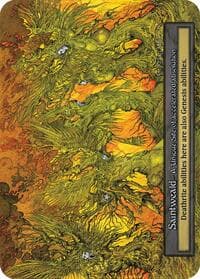 Saintweald - Gothic - Sorcery: Contested Realm card