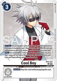 Cool Boy - Dawn of Liberator - Digimon Card Game card