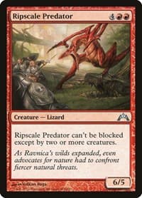 Ripscale Predator - Gatecrash - Magic: The Gathering card