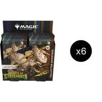 Secrets of Strixhaven - Collector Booster Display Case - Secrets of Strixhaven - Magic: The Gathering card