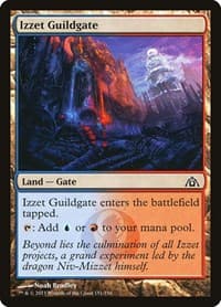 Izzet Guildgate - Dragon's Maze - Magic: The Gathering card