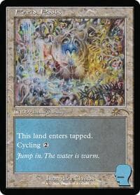 Fetid Pools - Secret Lair Drop Series - Magic: The Gathering card