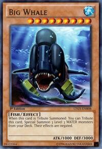 Big Whale - Lord of the Tachyon Galaxy - YuGiOh card