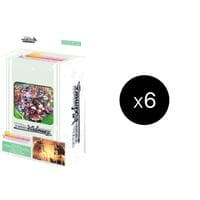 Umamusume: Pretty Derby Race 2 Trial Deck Display - Umamusume: Pretty Derby - Weiss Schwarz card