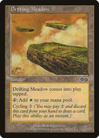 Drifting Meadow - Urza's Saga - Magic: The Gathering card