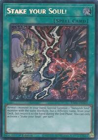 Stake your Soul! (Secret Rare) - Rarity Collection 5 - YuGiOh card