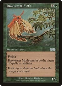 Hawkeater Moth - Urza's Saga - Magic: The Gathering card