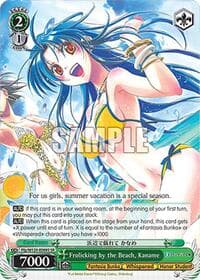 Frolicking by the Beach, Kaname (SR) - Fujimi Fantasia Bunko Vol.2 - Weiss Schwarz card