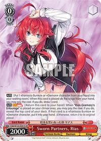 Sworn Partners, Rias (SR) - Fujimi Fantasia Bunko Vol.2 - Weiss Schwarz card