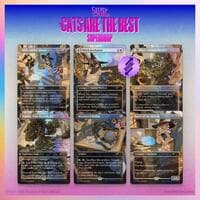 Secret Lair Drop: Witch's Familiar - Traditional Foil Edition - Secret Lair Drop Series - Magic: The Gathering card