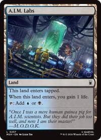 A.I.M. Labs - Marvel Super Heroes - Magic: The Gathering card