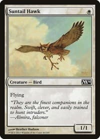 Suntail Hawk - Magic 2014 (M14) - Magic: The Gathering card