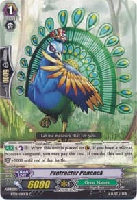 Protractor Peacock - BT09: Clash of Knights & Dragons - Cardfight Vanguard card