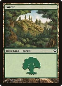 Forest (246) - Theros - Magic: The Gathering card