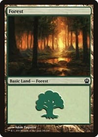 Forest (248) - Theros - Magic: The Gathering card