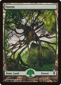 Forest (249) - Full Art - Zendikar - Magic: The Gathering card
