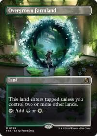 Overgrown Farmland (Borderless) - Reality Fracture - Magic: The Gathering card