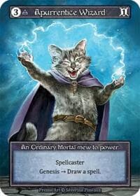 Apurrentice Wizard (Foil) - Welcome Kit Promos - Sorcery: Contested Realm card