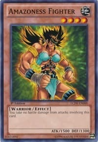 Amazoness Fighter - Legendary Collection 4: Joey's World - YuGiOh card