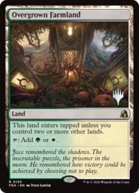 Overgrown Farmland - Promo Pack: Reality Fracture - Magic: The Gathering card