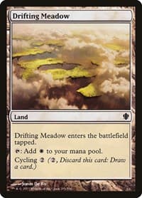 Drifting Meadow - Commander 2013 - Magic: The Gathering card