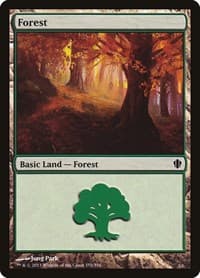 Forest (355) - Commander 2013 - Magic: The Gathering card