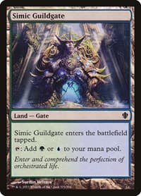 Simic Guildgate - Commander 2013 - Magic: The Gathering card
