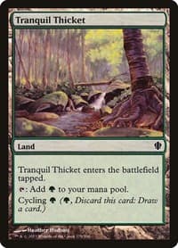 Tranquil Thicket - Commander 2013 - Magic: The Gathering card