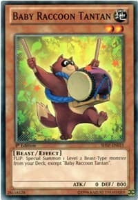 Baby Raccoon Tantan - Shadow Specters - YuGiOh card
