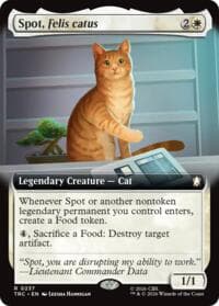 Spot, Felis catus (Extended Art) - Commander: Star Trek - Magic: The Gathering card