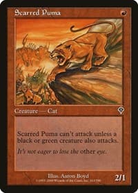 Scarred Puma - Invasion - Magic: The Gathering card
