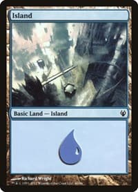 Island (40) - Duel Decks: Izzet vs. Golgari - Magic: The Gathering card