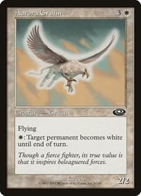Aurora Griffin - Planeshift - Magic: The Gathering card