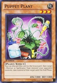 Puppet Plant - Starter Deck: Kaiba Reloaded - YuGiOh card